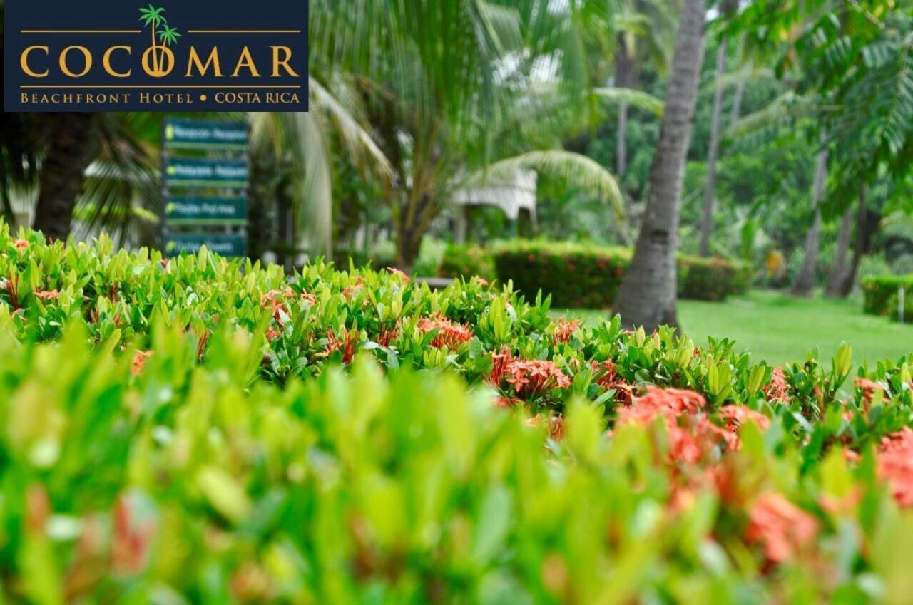 Cocomar Beachfront Hotel Parrita Esterno foto