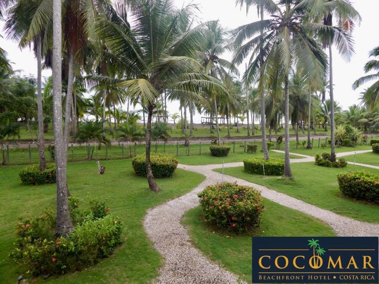 Cocomar Beachfront Hotel Parrita Esterno foto