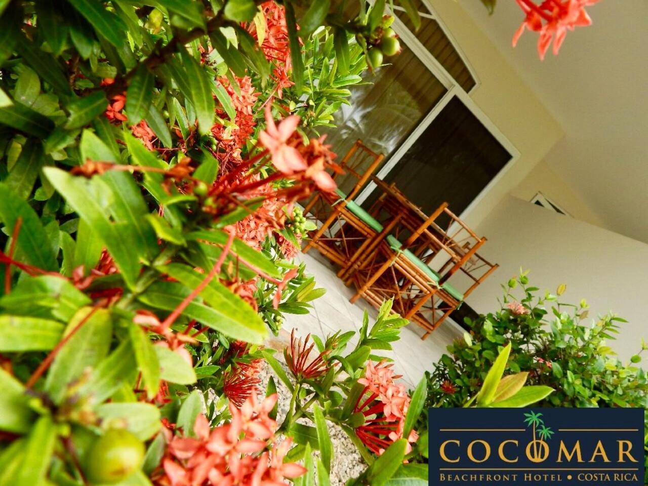 Cocomar Beachfront Hotel Parrita Esterno foto